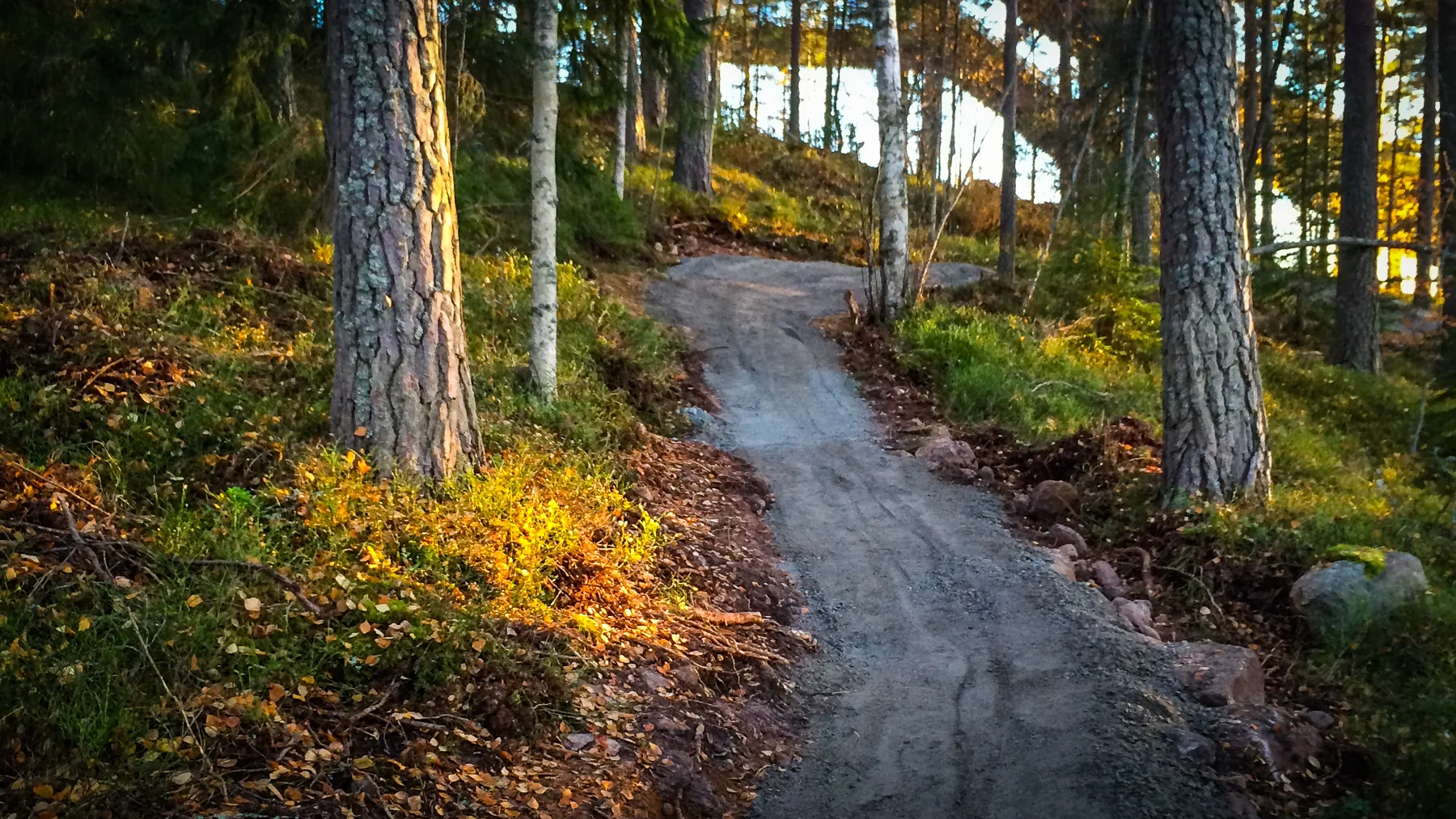 Stigbyggarlördag-11.jpg