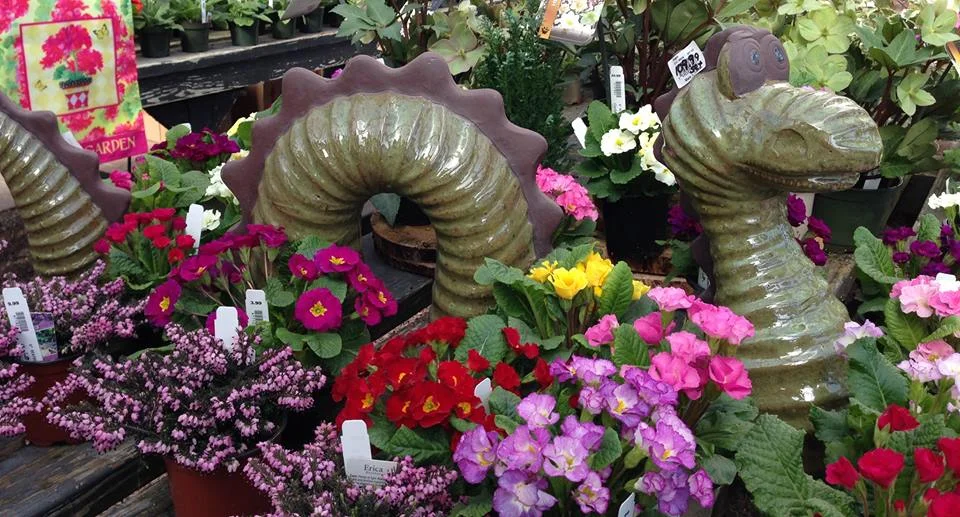 A Sneaky Dragon Hiding Amidst the Flowers