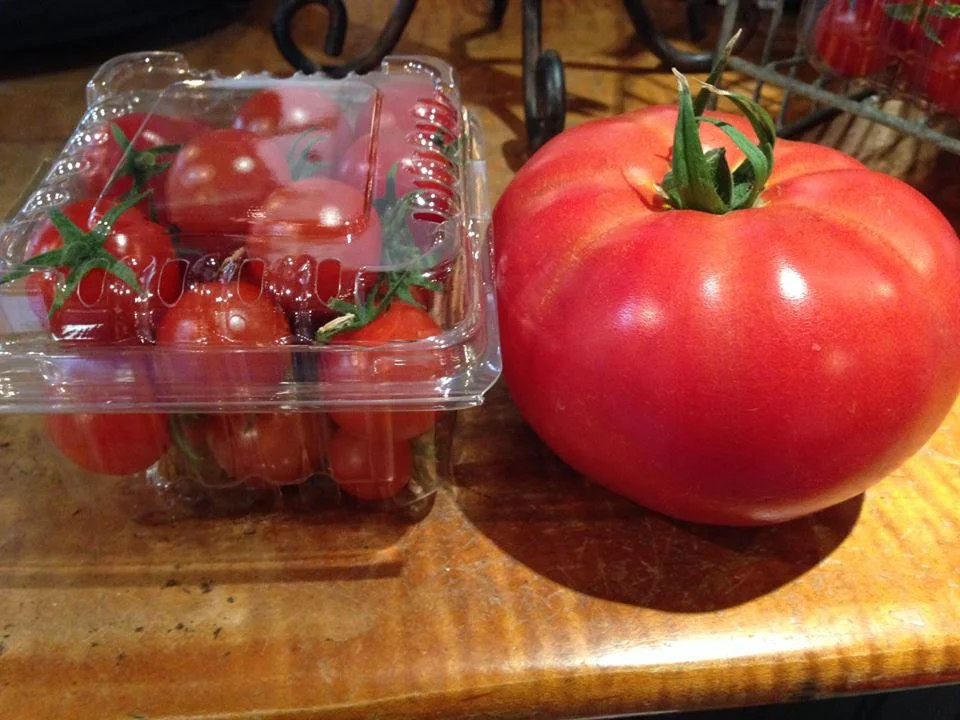 Tomatoes Just Like They Were Picked in August!