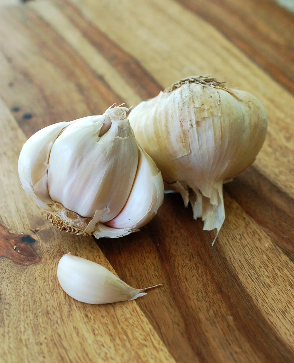 Garlic Day