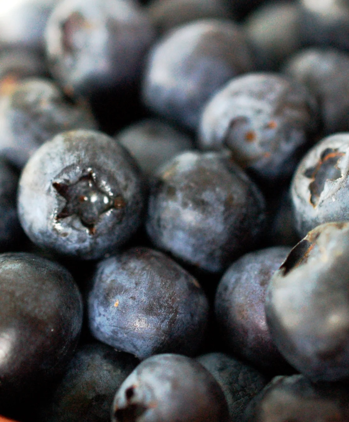 Blueberry Pie Day