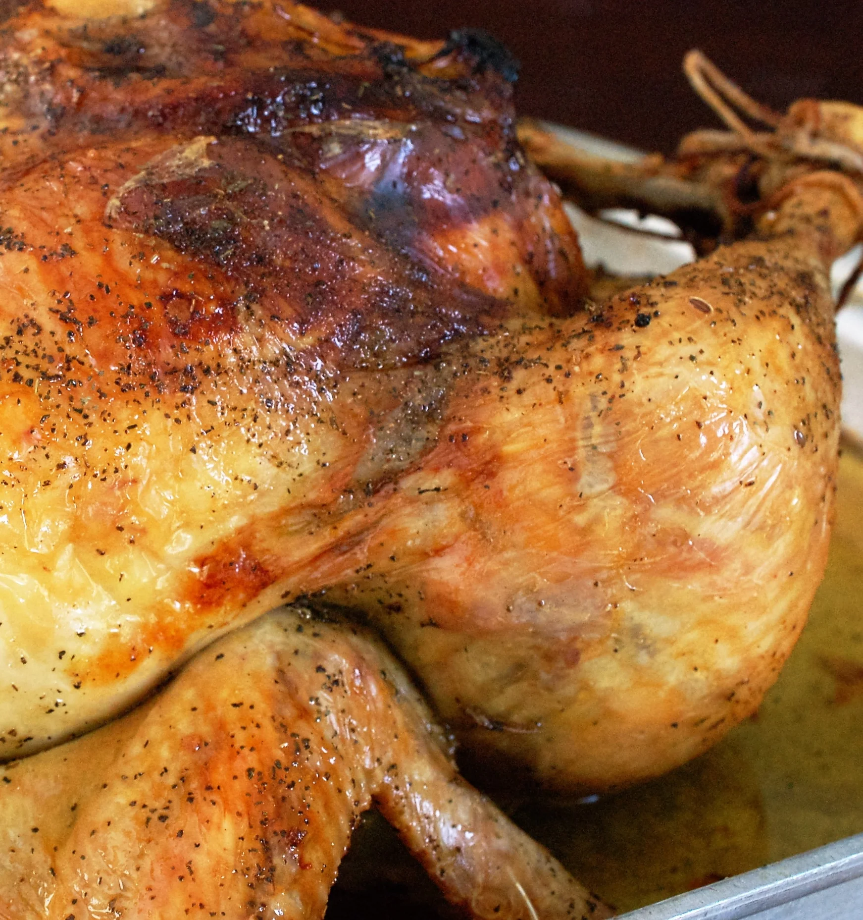 Lemon Herb Roasted Chicken Recipe