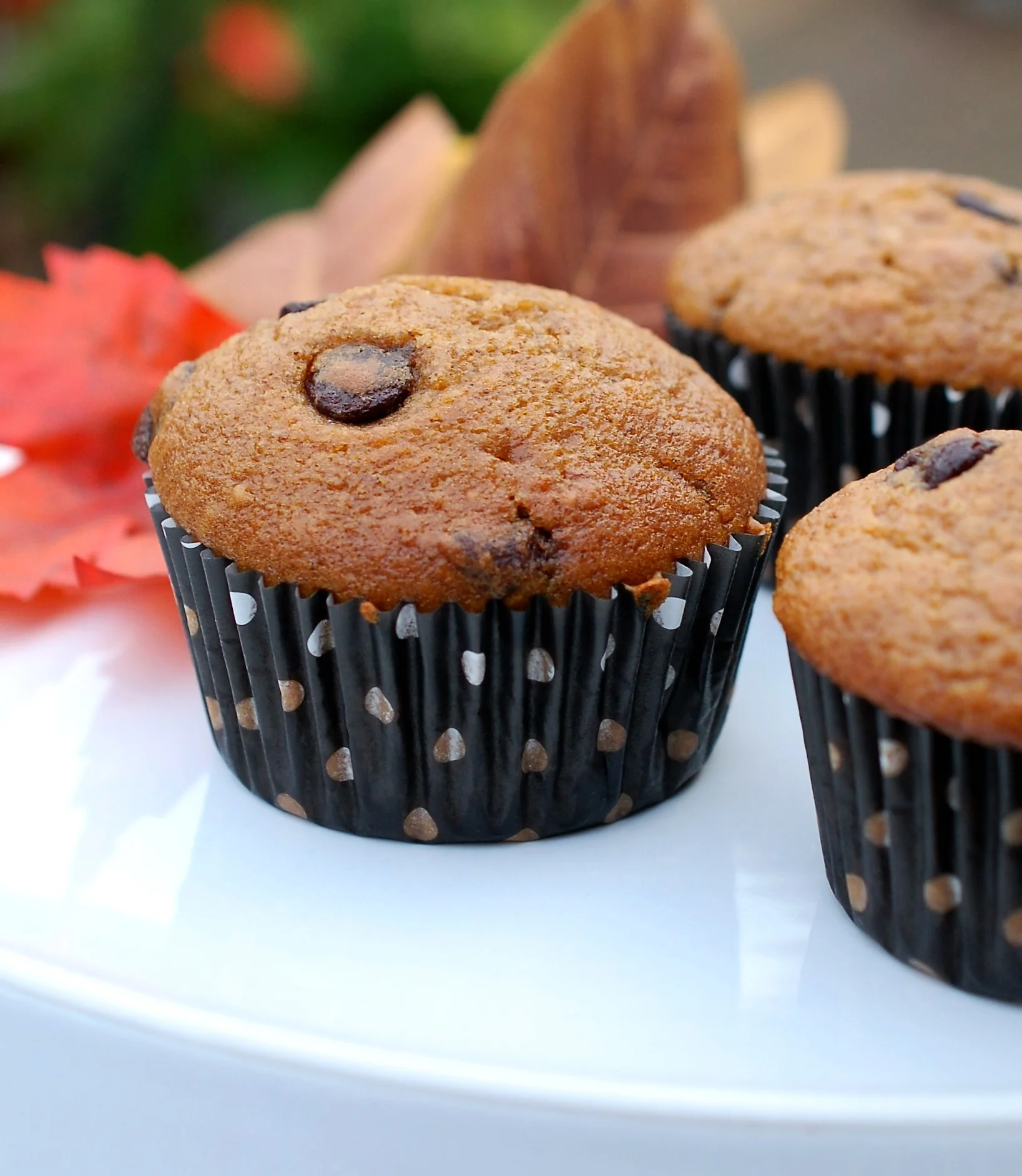 Pumpkin Patch Chocolate Chip Muffins Recipe