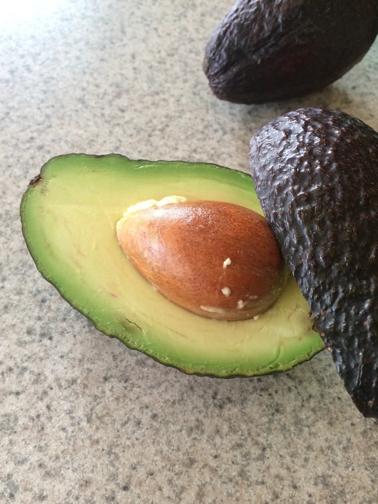 avocado.jpg