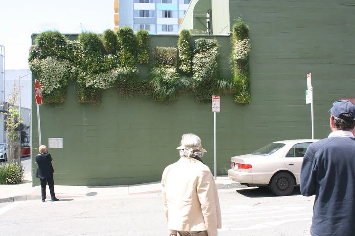 “Clementina Cares” living wall by Jessica Neafsey.