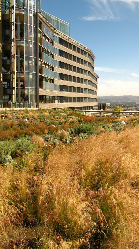 Palomar West Hospital by Marie Goulet.
