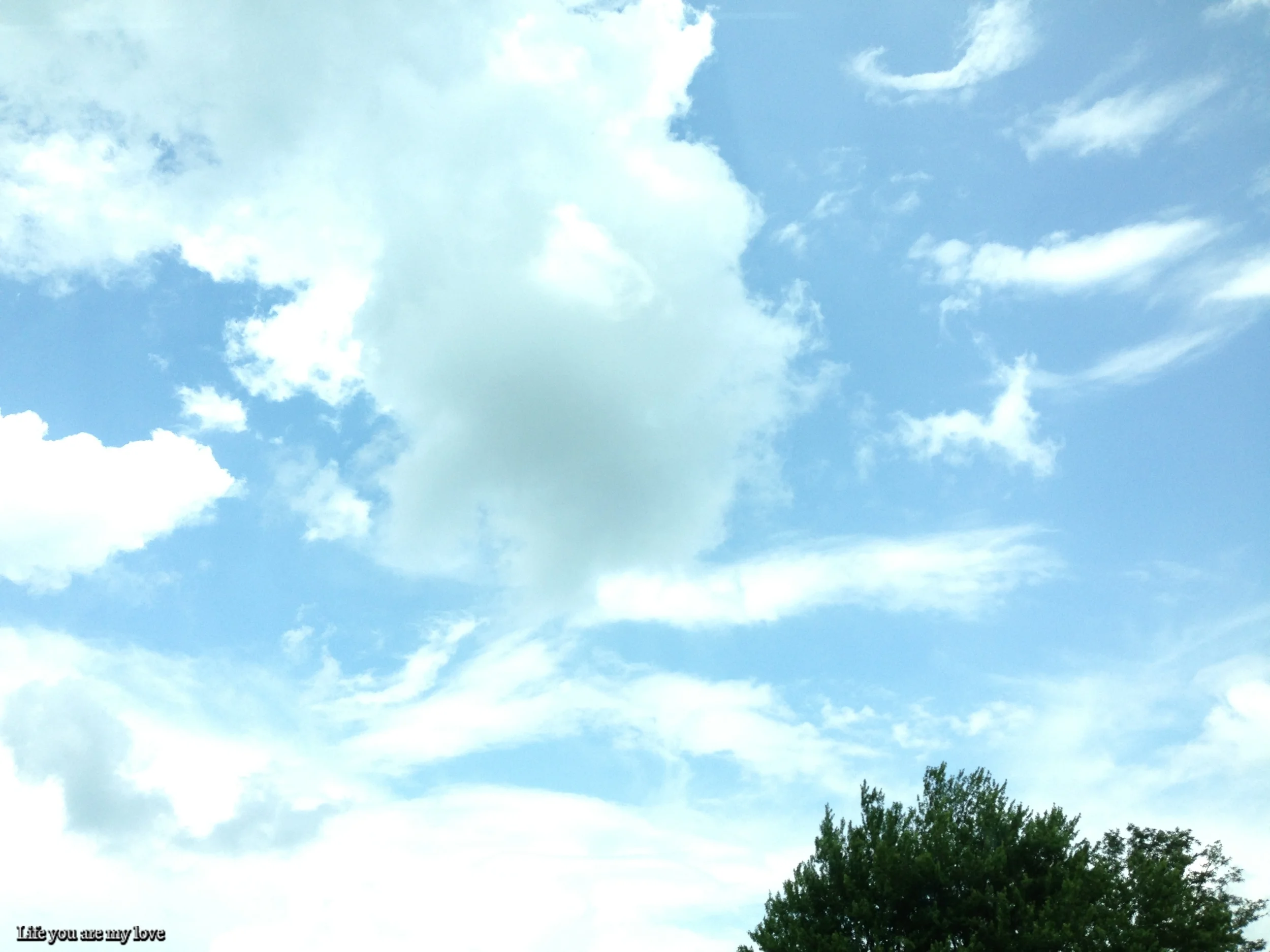 2013-07-19 14.01.20.jpg