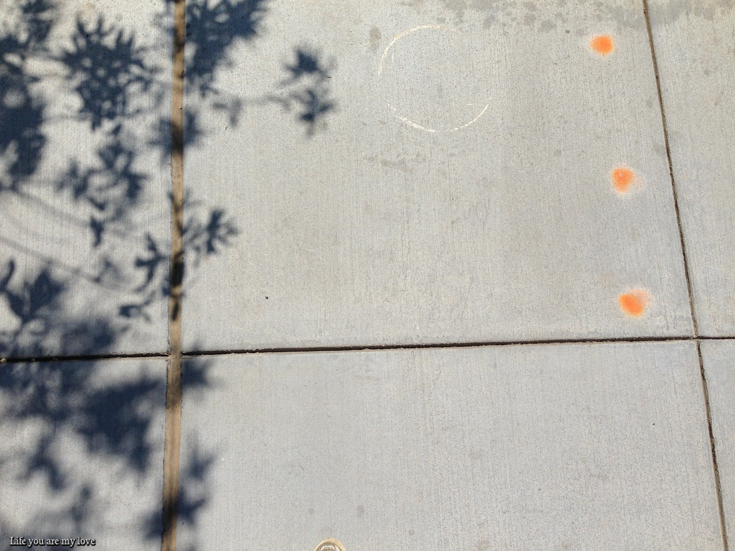 2013-07-25 13.27.44.jpg