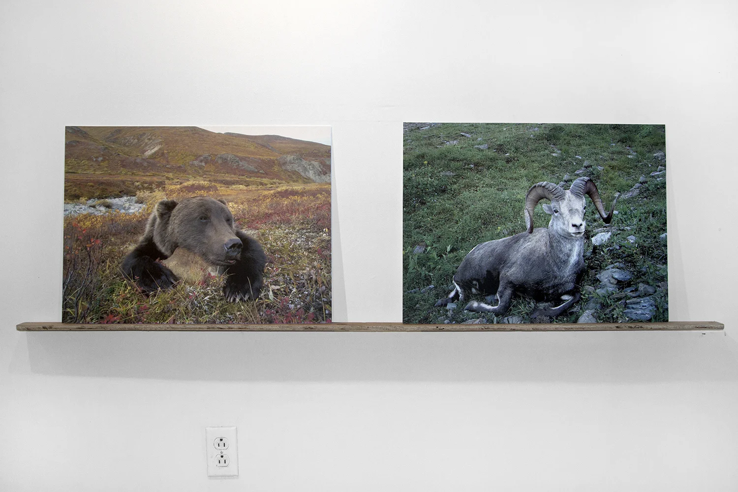 Surrounding_Camouflage_FitnessGallery.New.York.2013_2.jpg