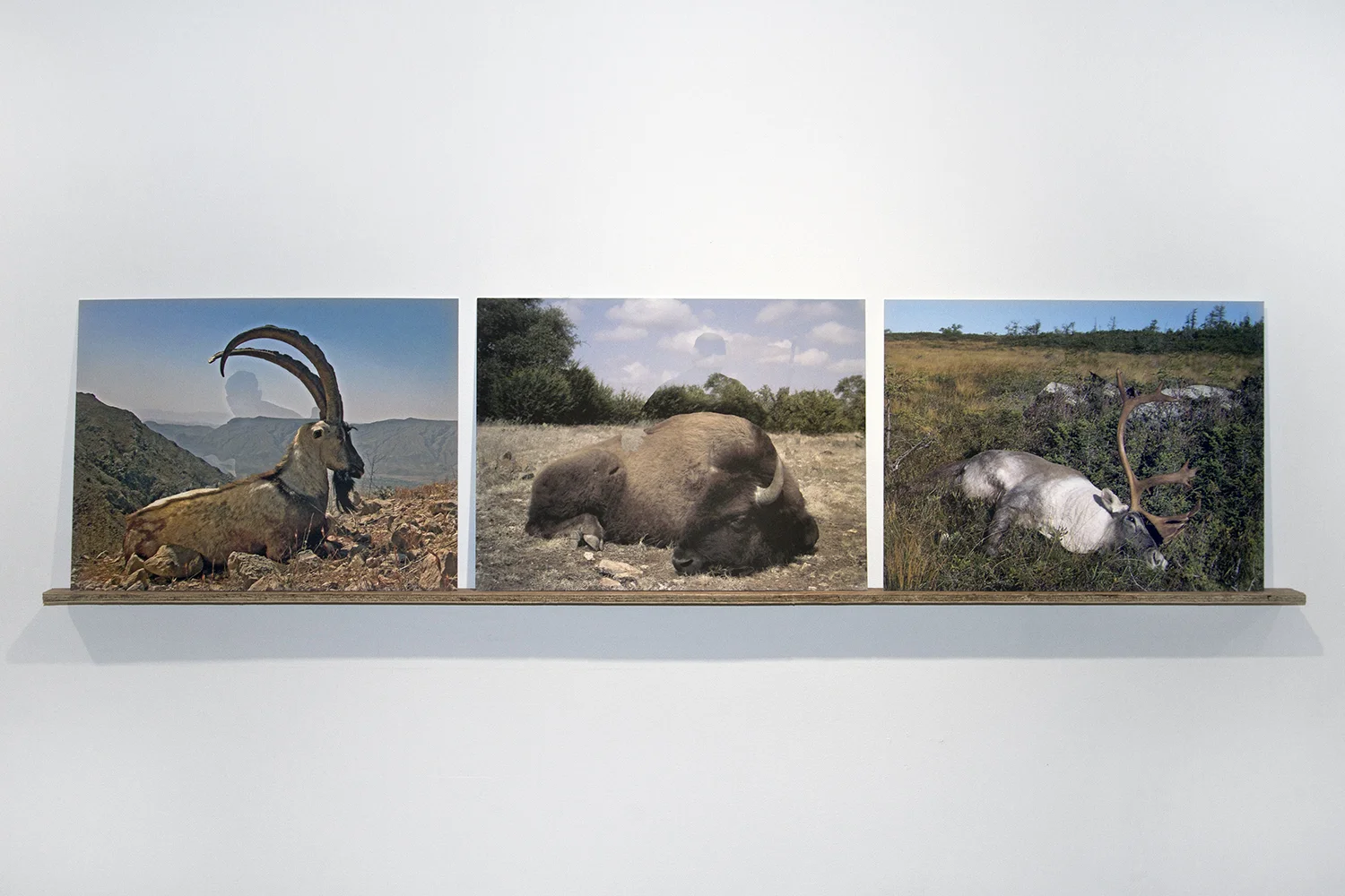 Surrounding_Camouflage_FitnessGallery.New.York.2013.jpg