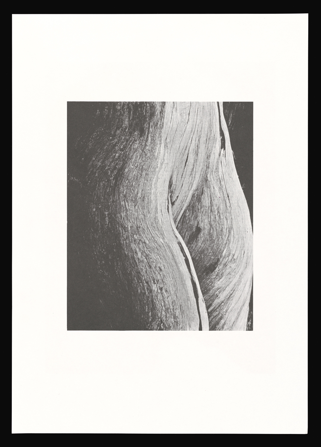 LA_EIB_Poster_neat_2.jpg