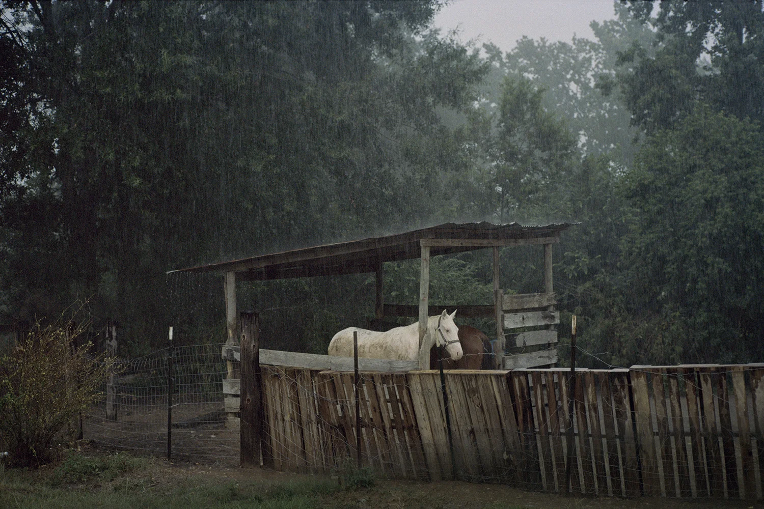Hurricaneseason_27.jpg