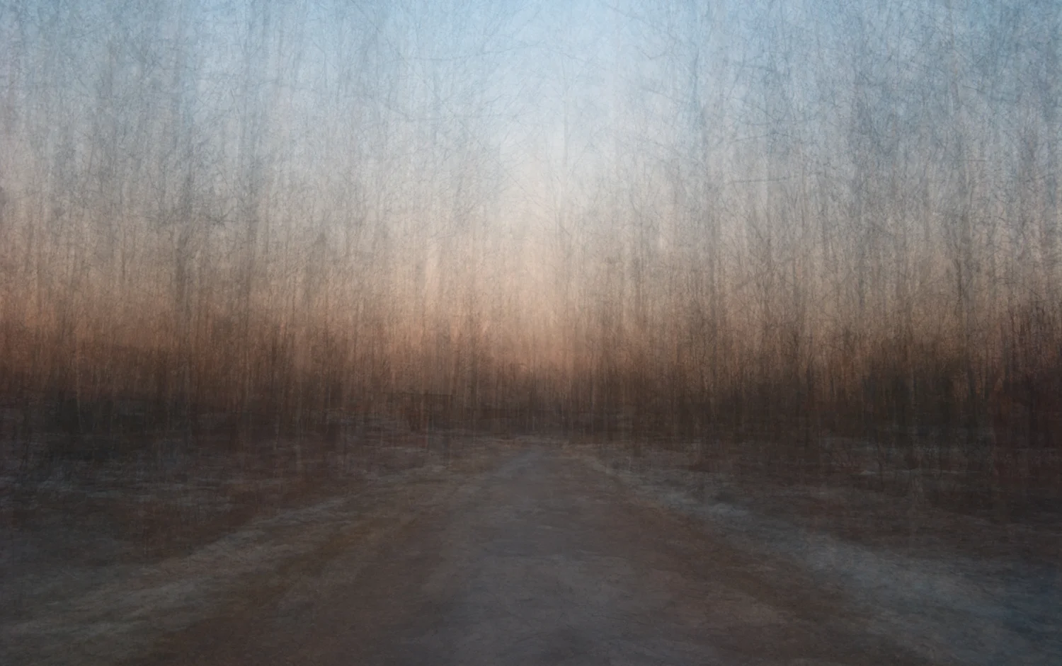 Path 8