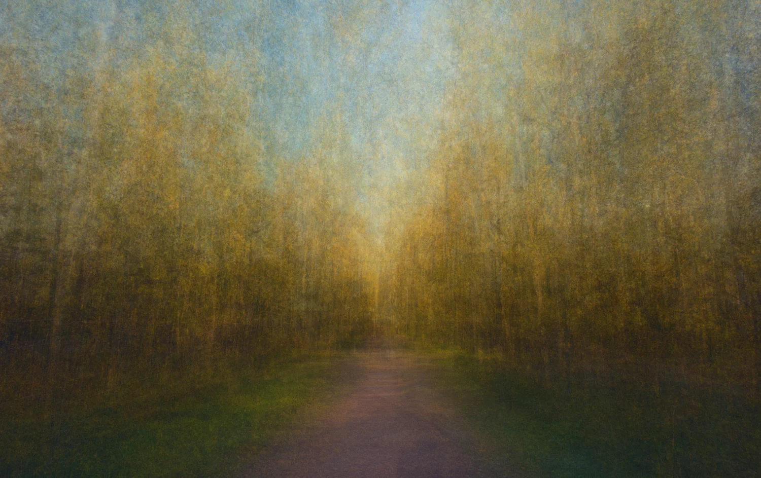 Path 16