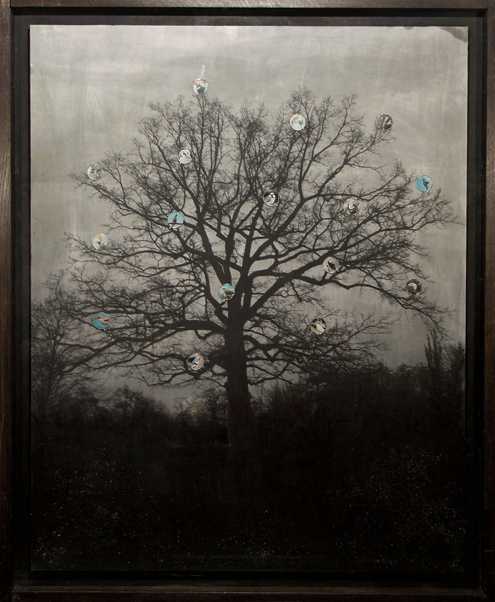 5.The_Tree_110x140cm.jpg