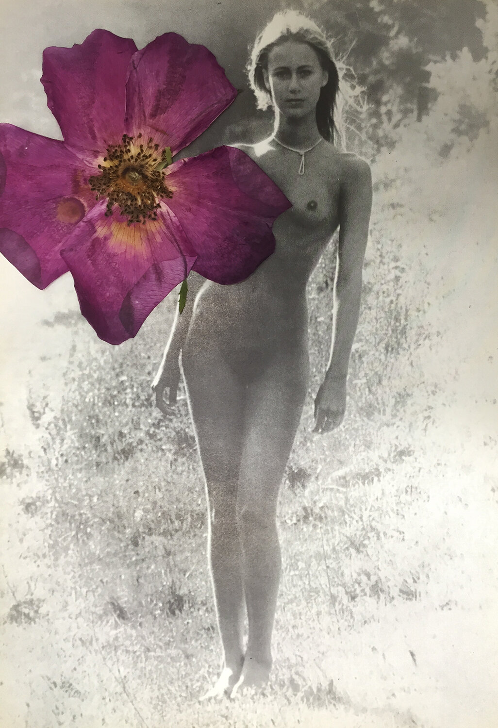 flower  body.jpg