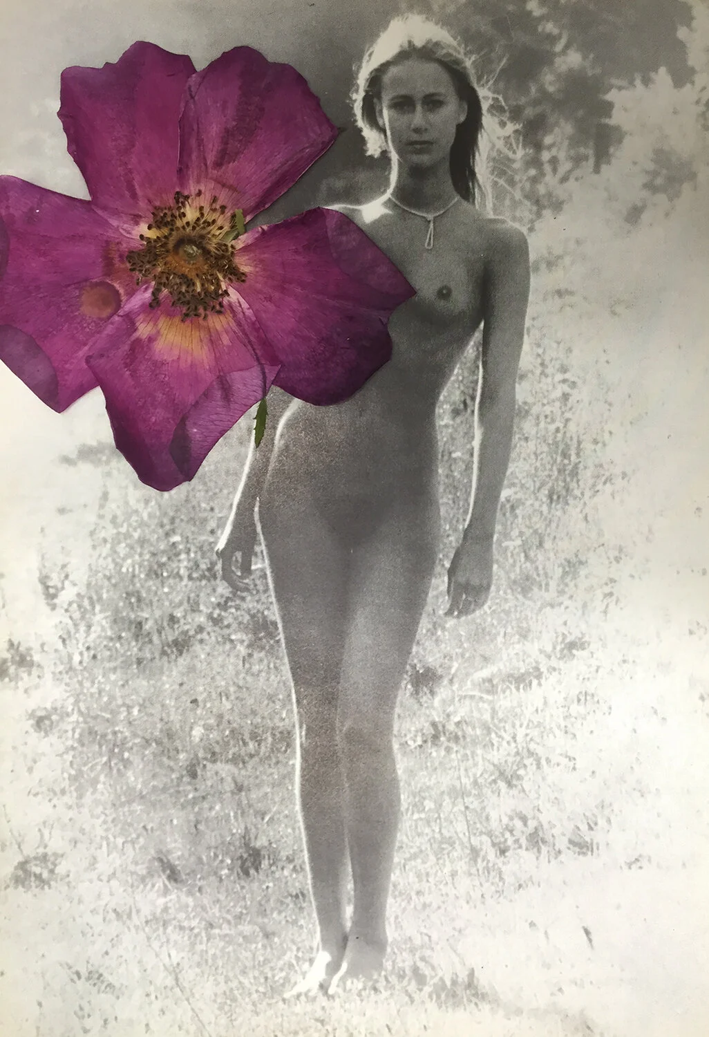 flower body.jpg
