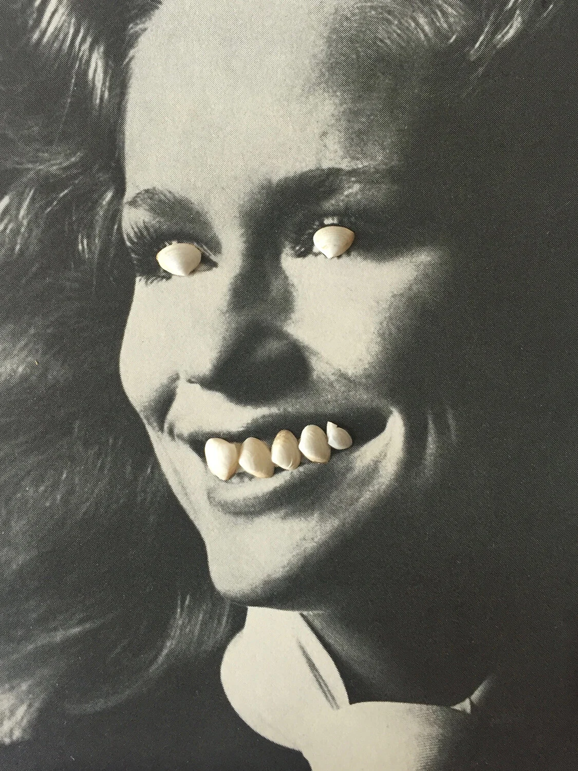 Seashell face 2.jpg