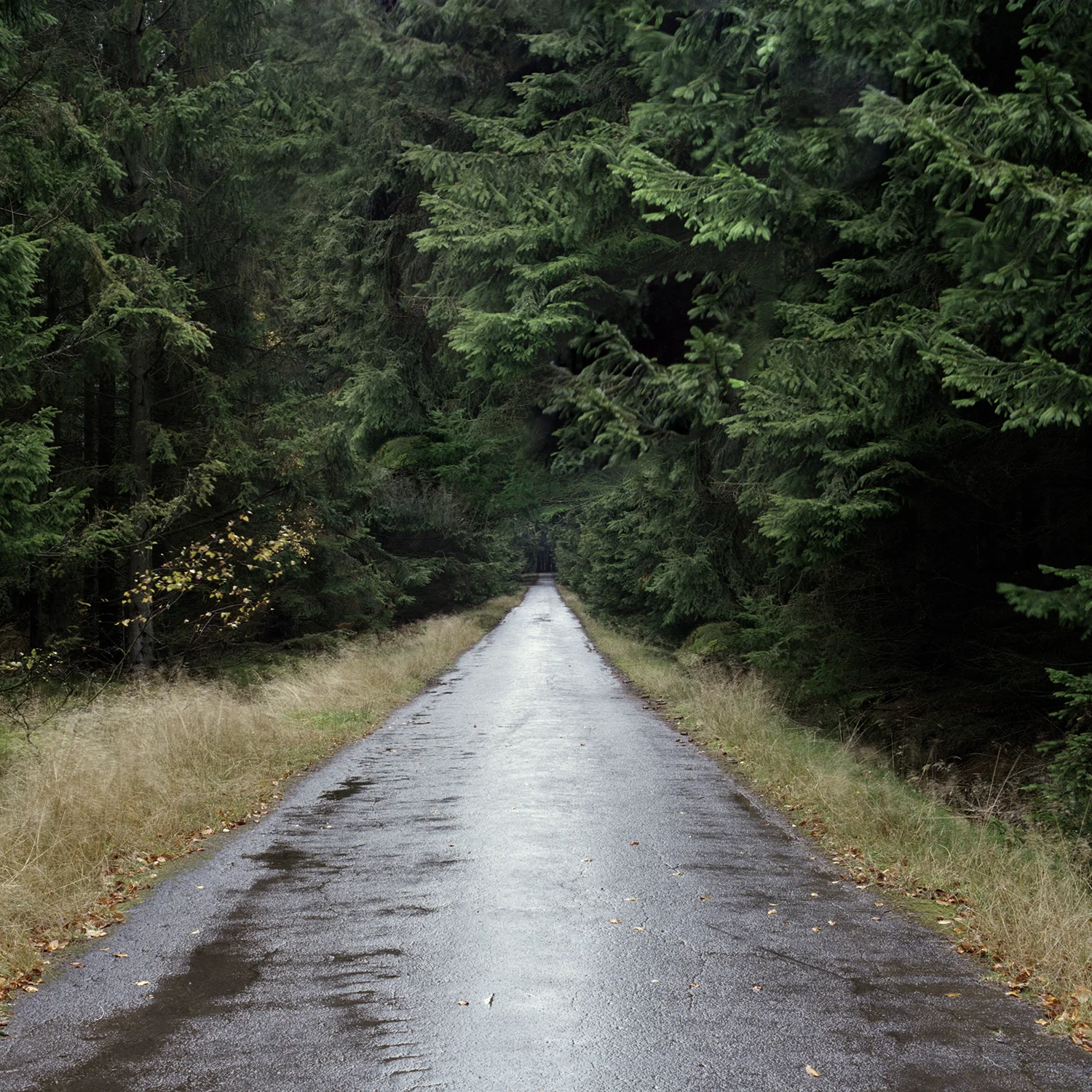 closed road.jpg