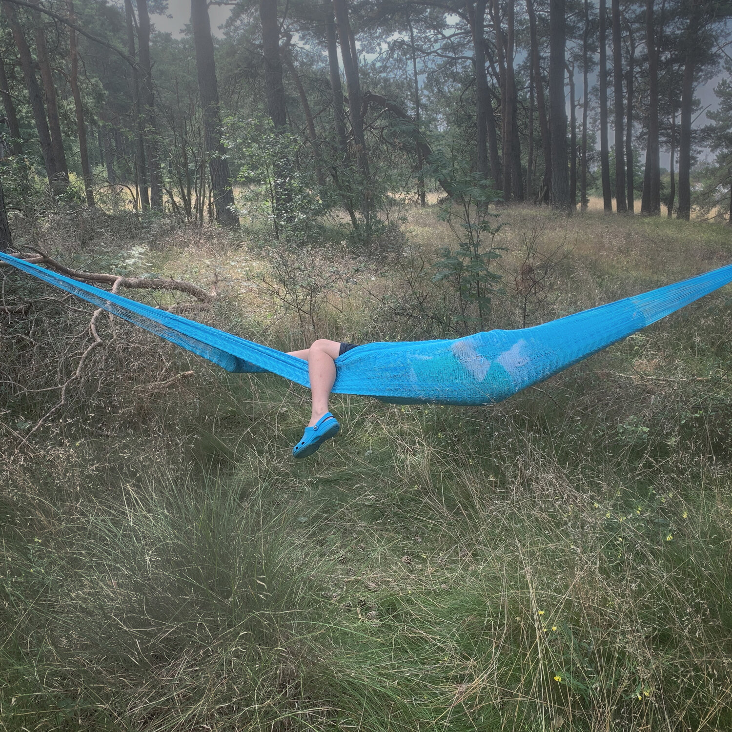 Från serien Summer tale av Anna Clarén