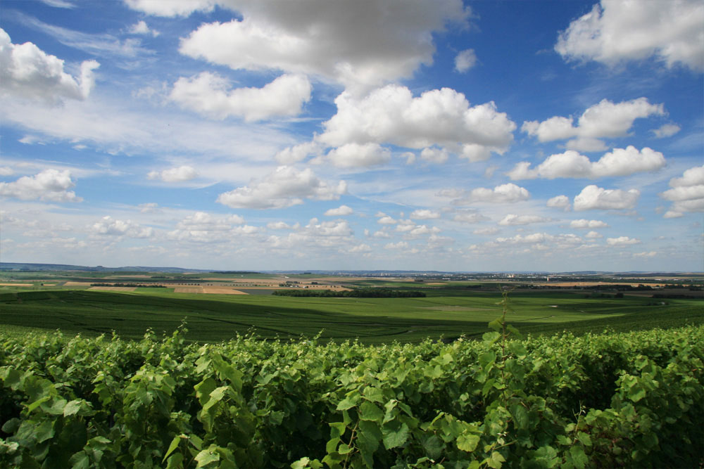 environ05.jpg