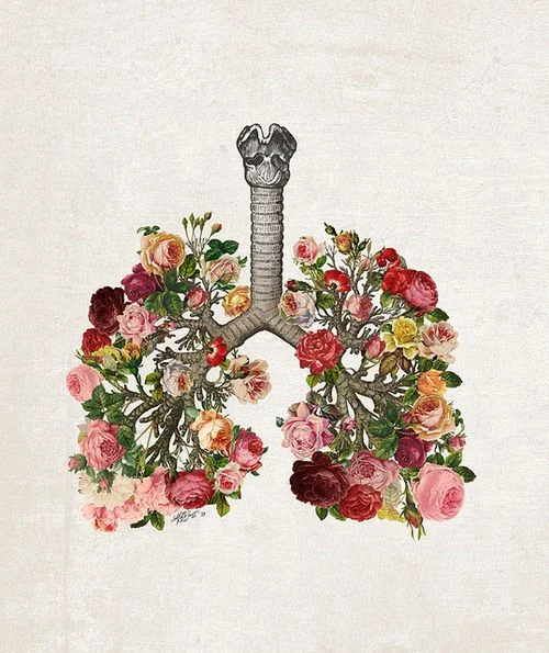Fall is the season of the lungs.jpg