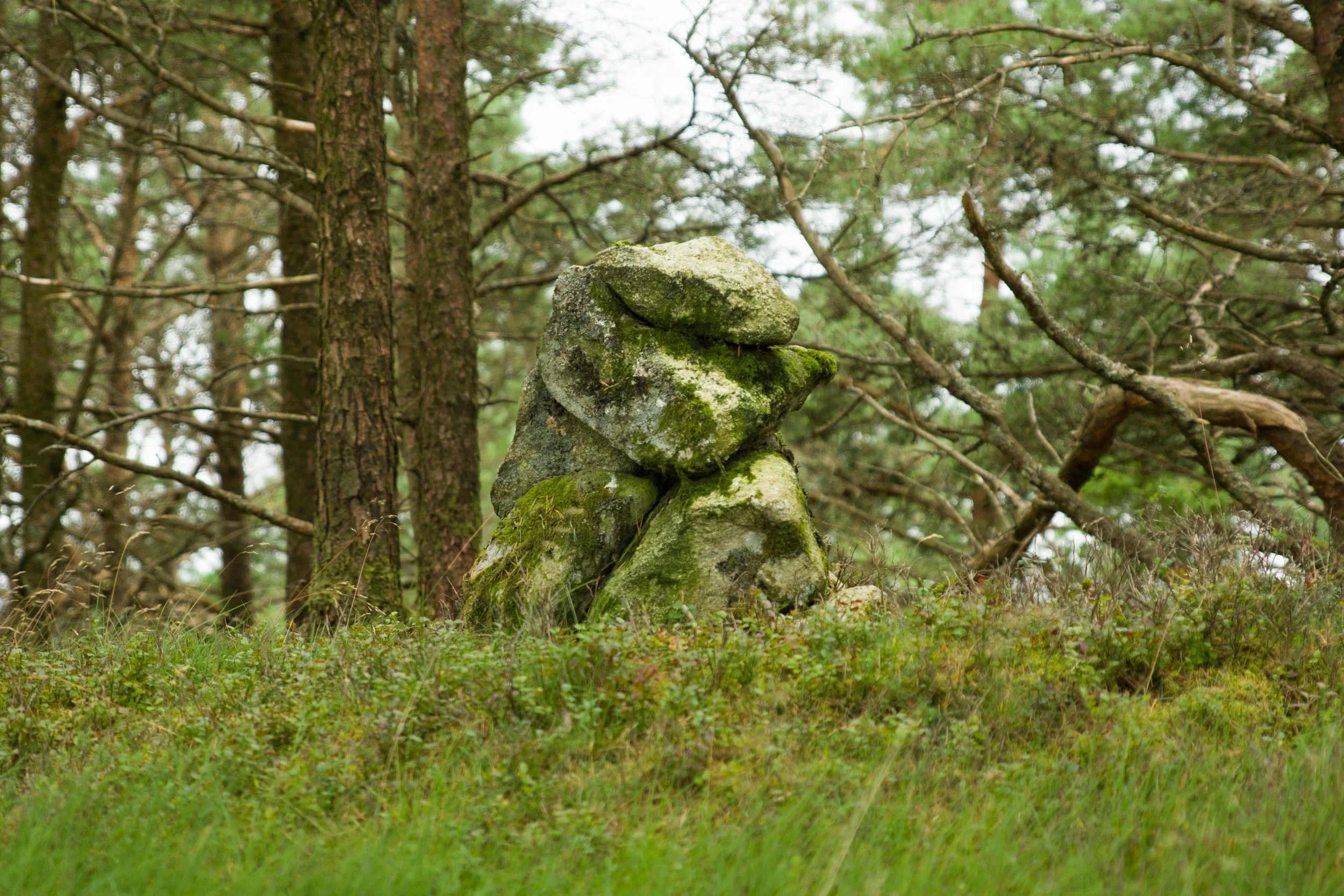 _DSC9061.jpg
