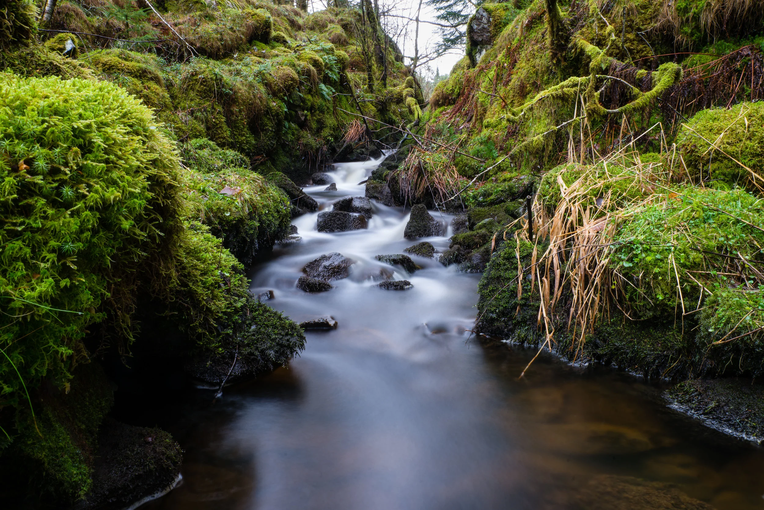 _DSC8210-Edit.jpg