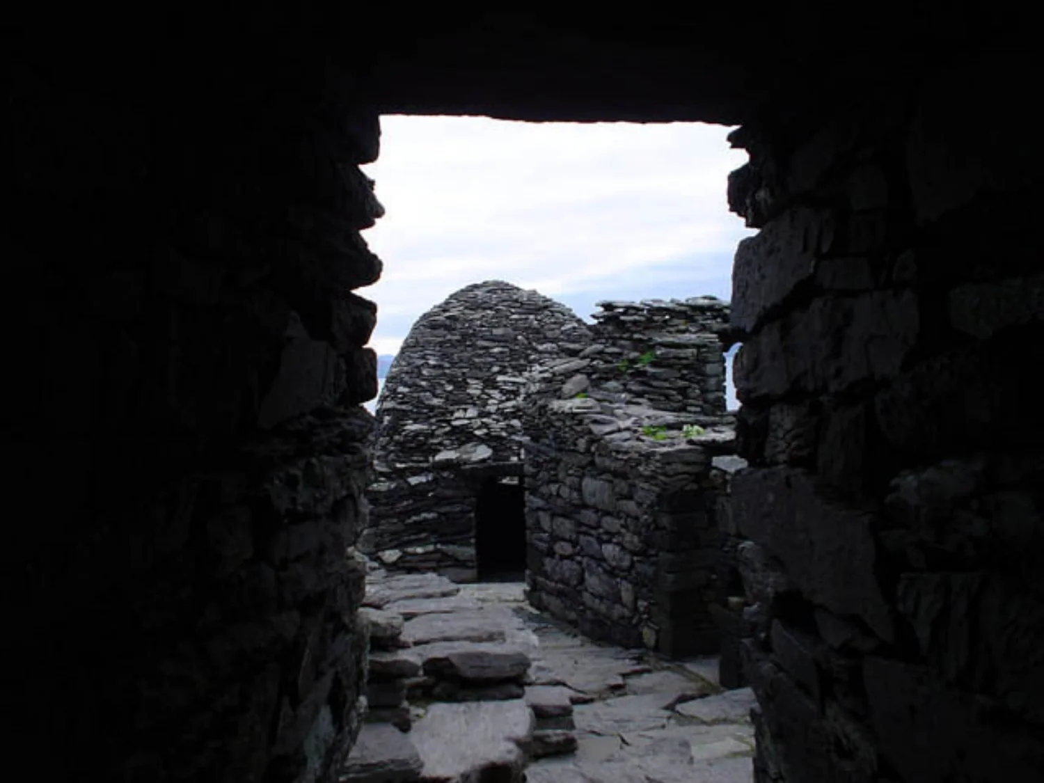view from inside cell