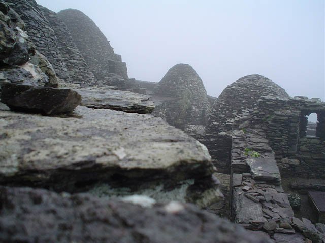 misty morn.jpg