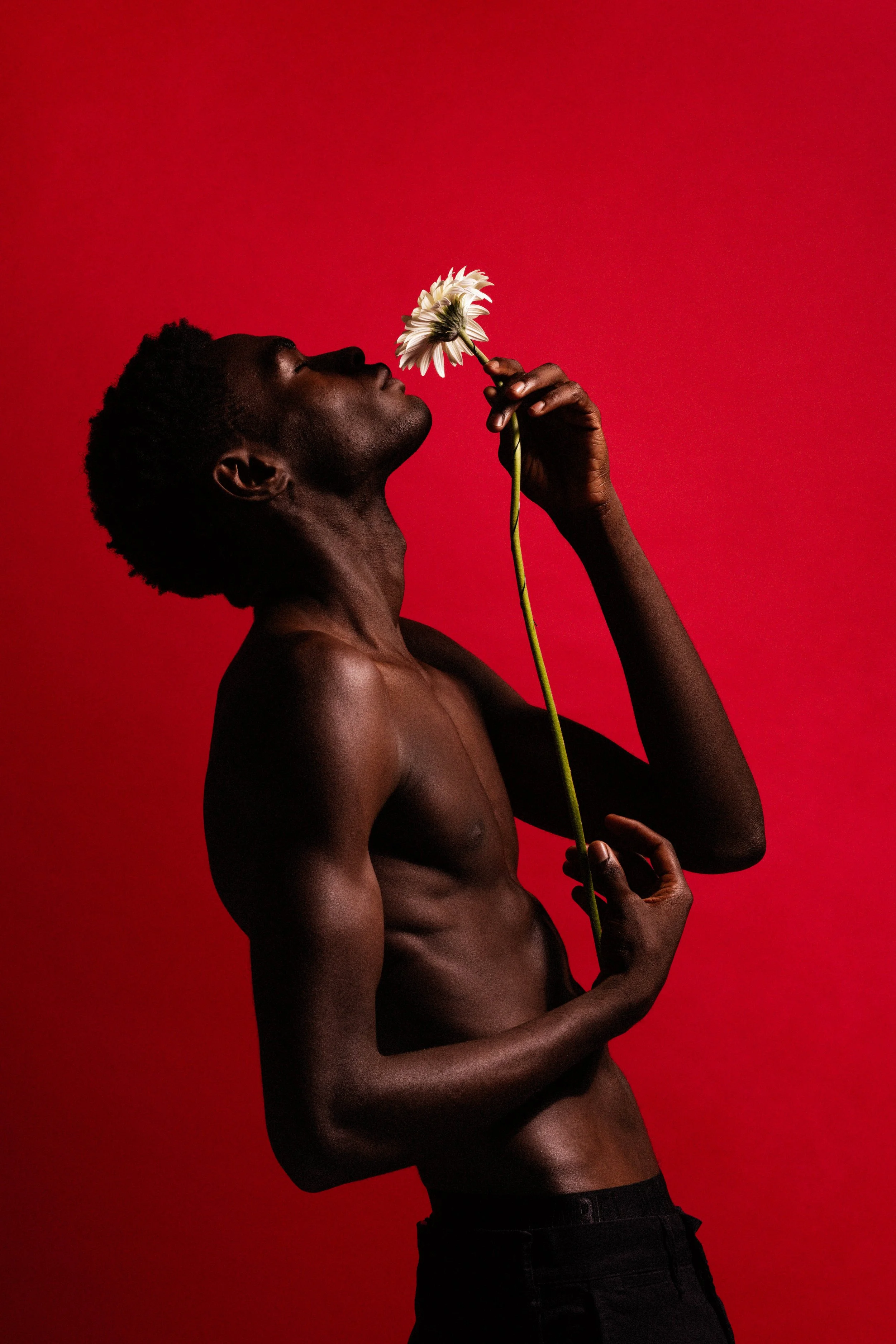  Artistic Photography 