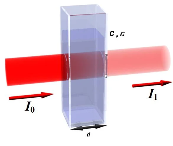 Absorption in a cuvette as described by the Lambert-Beer Law