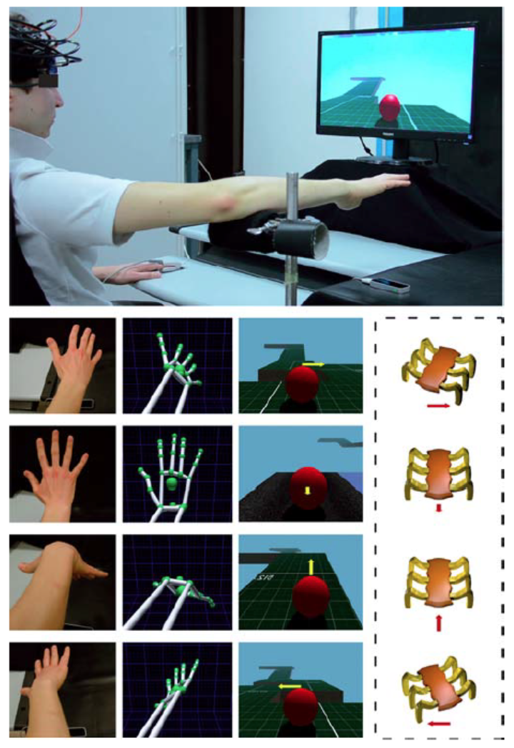 FIGURE 1 | Experimental setting for the execution of a virtual reality (VR) hand-controlled task (HCT).