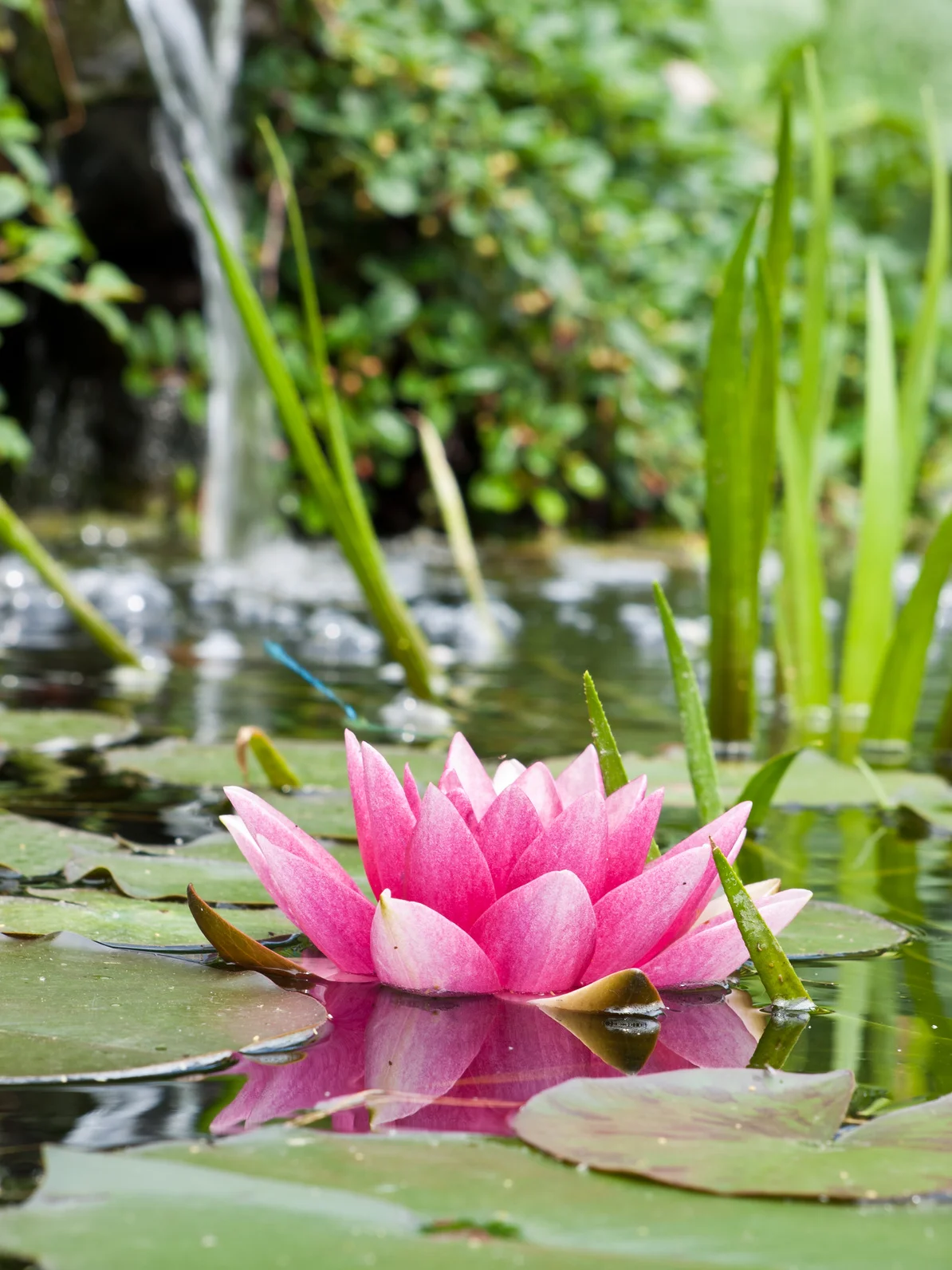 Fotolia_32897486_M.jpg