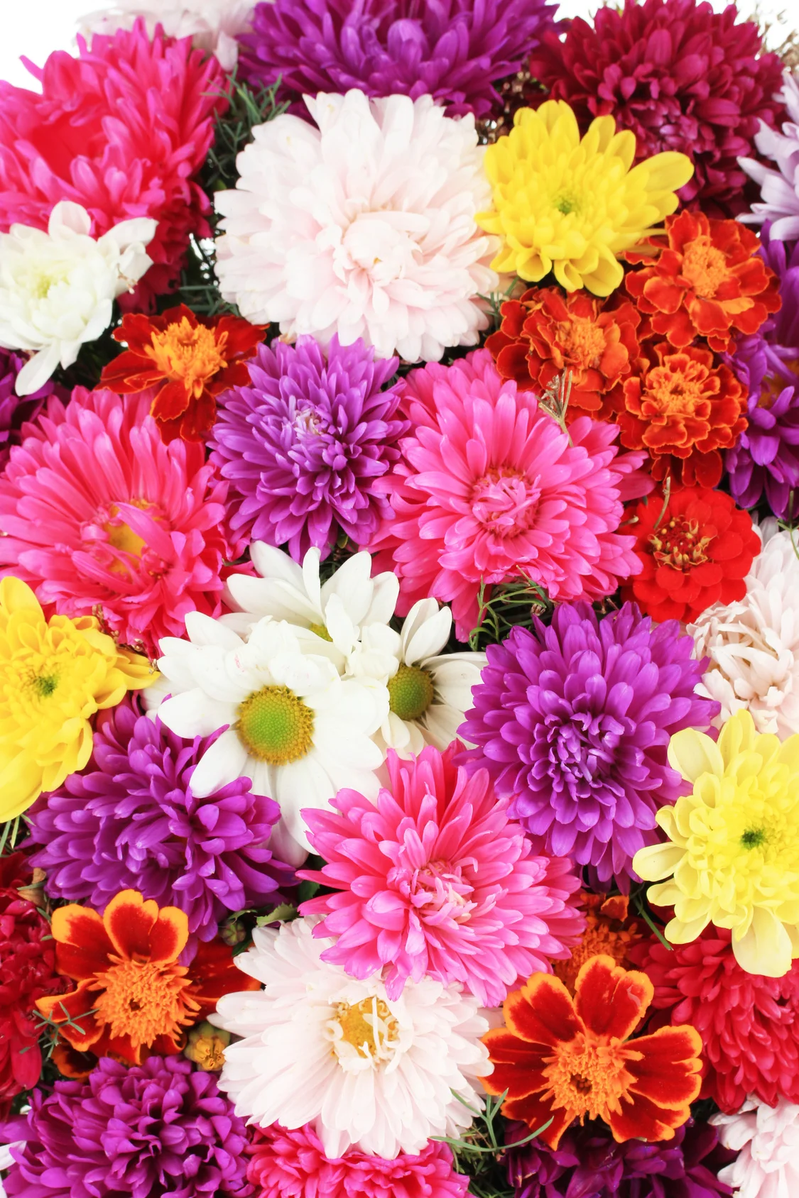 Fotolia_56929875_M.jpg