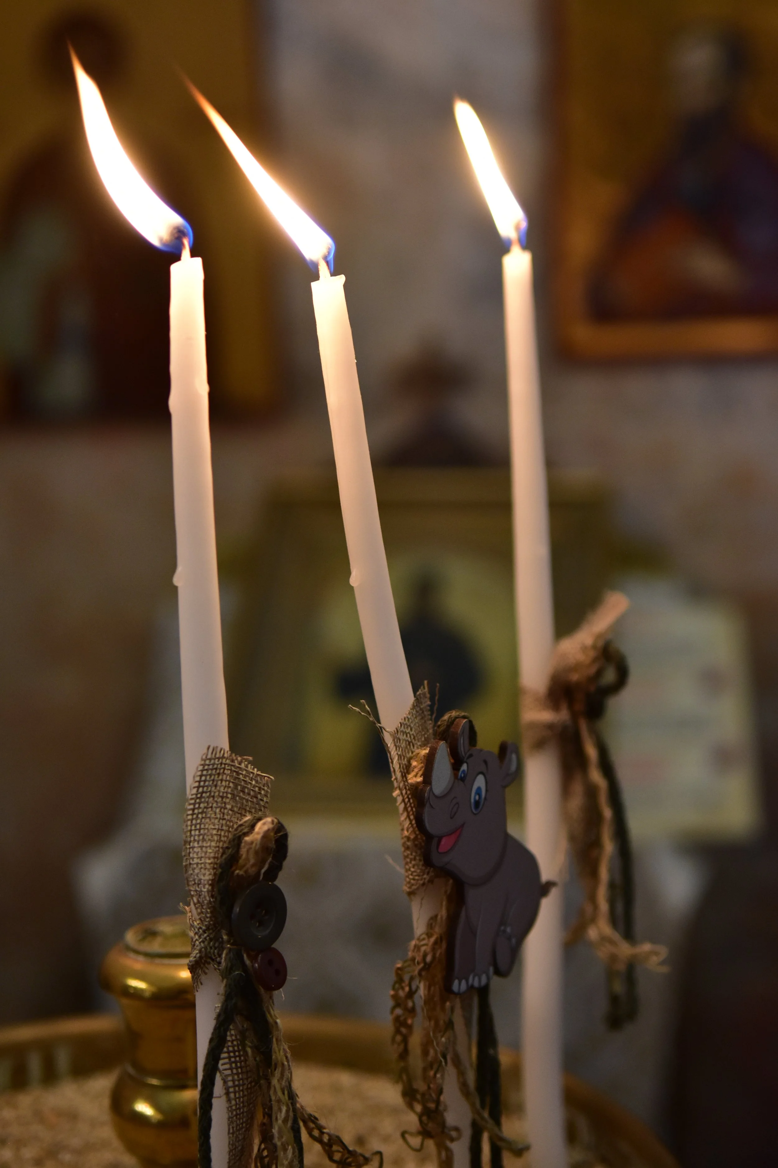 DSC_6744.JPG