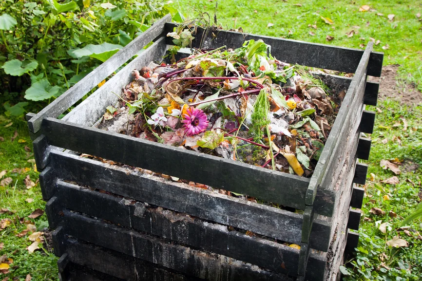 Start a compost bin