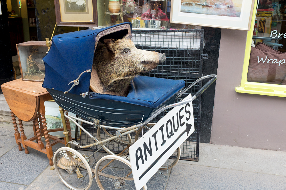Edinburgh Antiques Shop, 2014