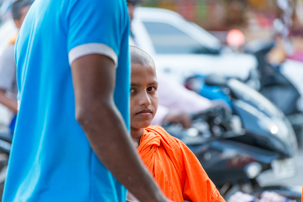 Buddhist Monk, Sri Lanka