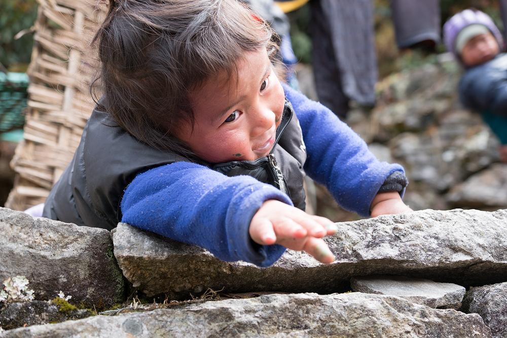 Himalayan Girl, 2017