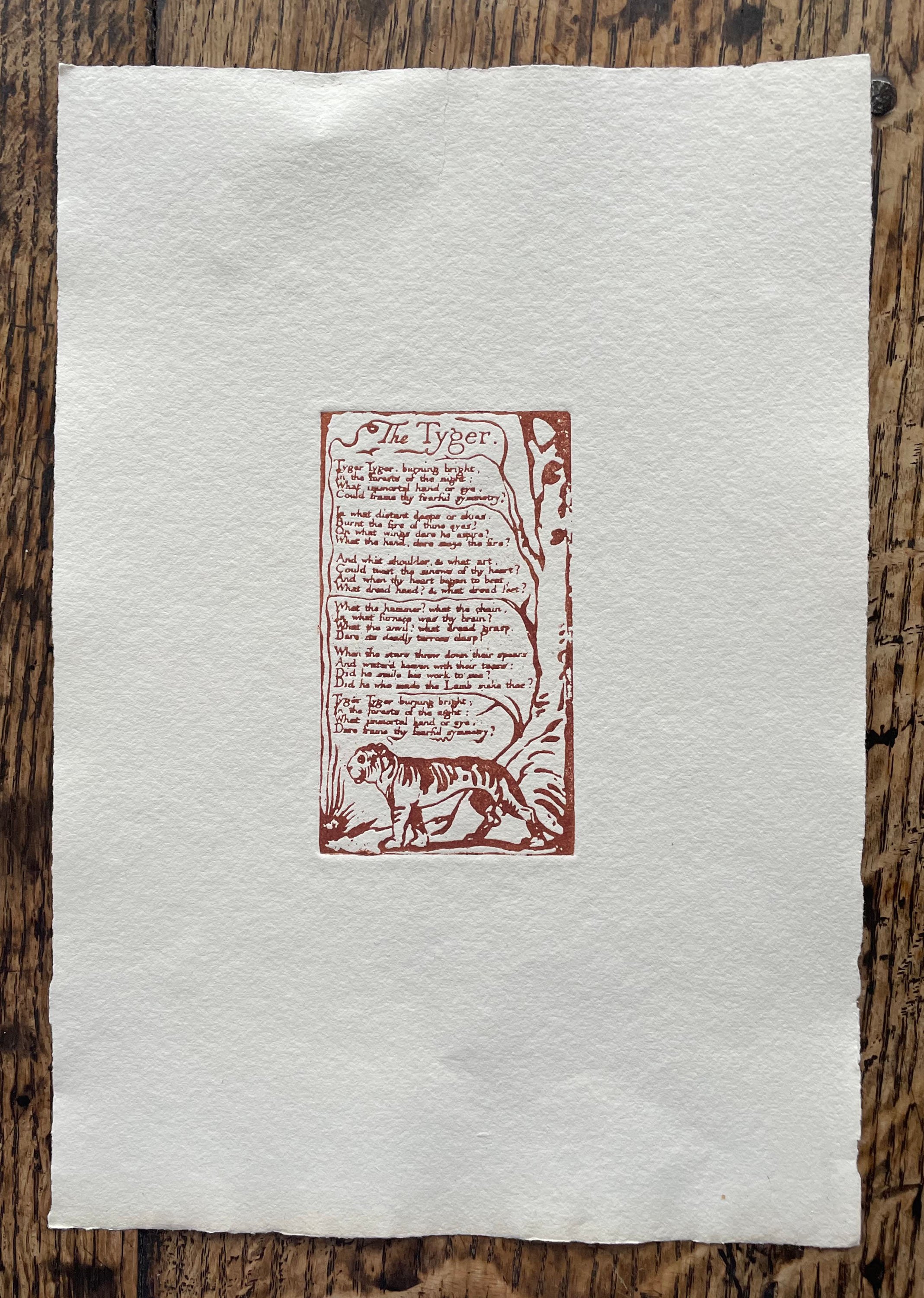 The-Tyger,-Songs-of-Innocence-and-of-Experience,-William-Blake-prints-for-sale.jpg