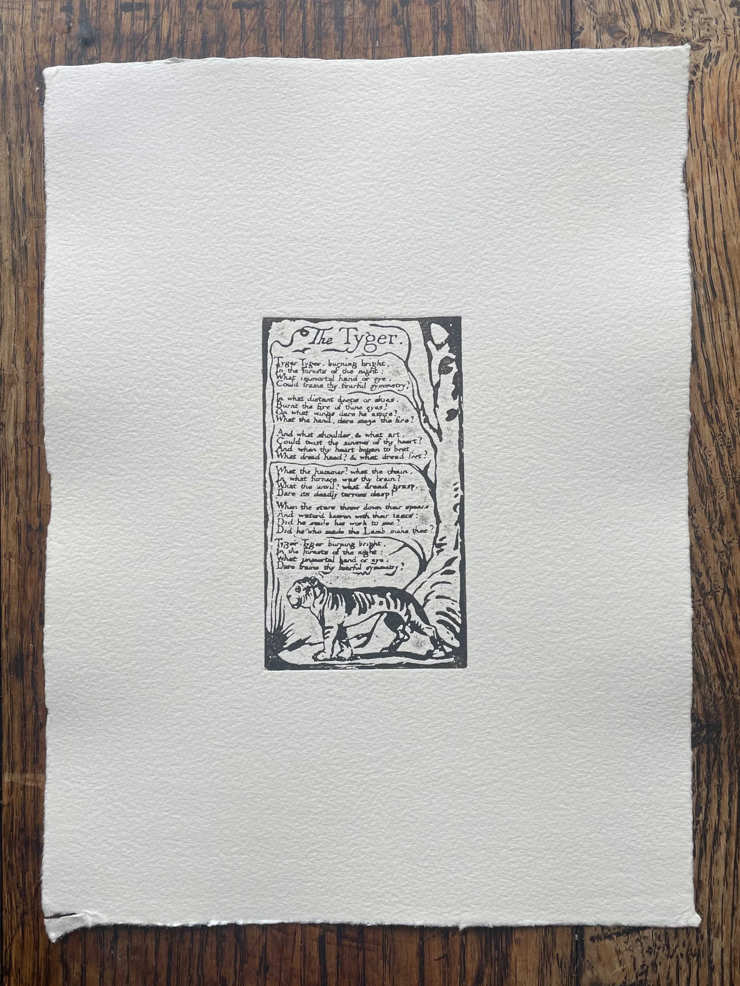 The Lamb and The Tyger