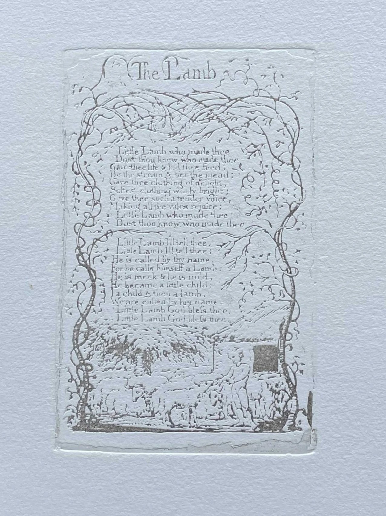 WIlliam-Blake-Prints-for-sale-Lamb-and-Tyger-2a.jpg