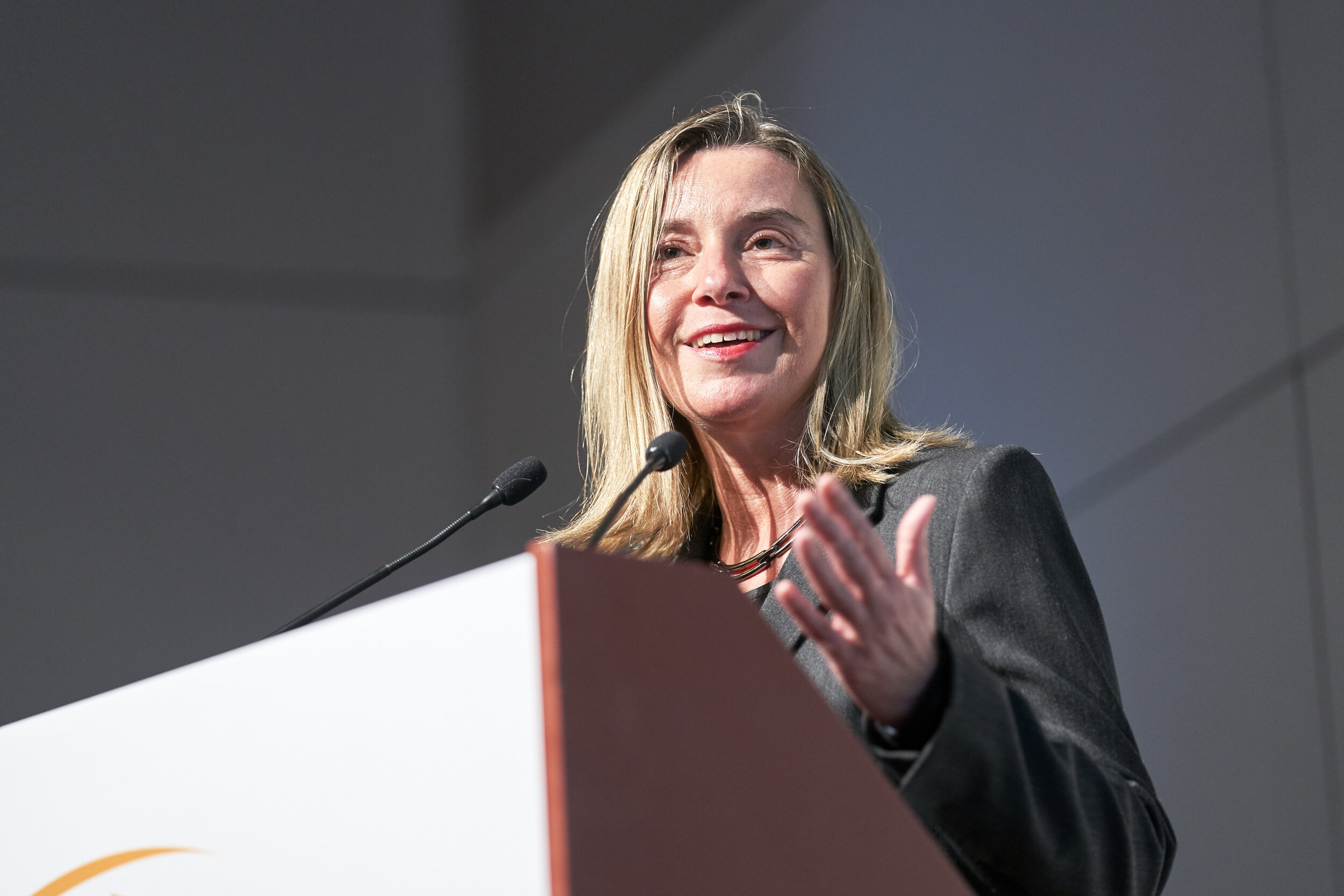  HRVP F. Mogherini launches the closing session 