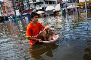 "Rio+20: A Voice From Bangkok, Thailand", The Guardian , 15 June 2012.