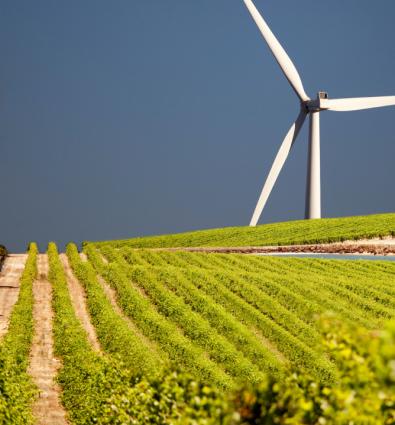"Is sustainable development an oxymoron?", WhyDev , 11 June 2012.