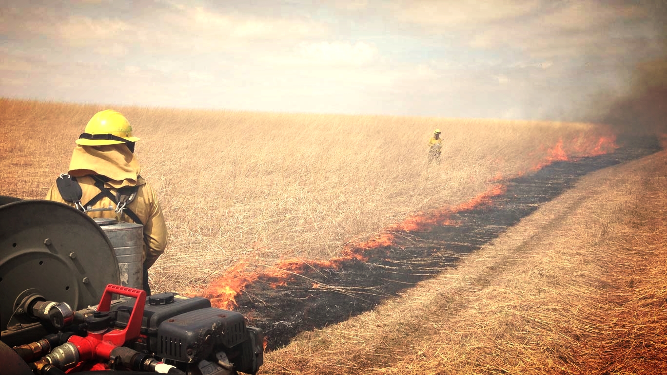   Prescribed Burning    Learn More  