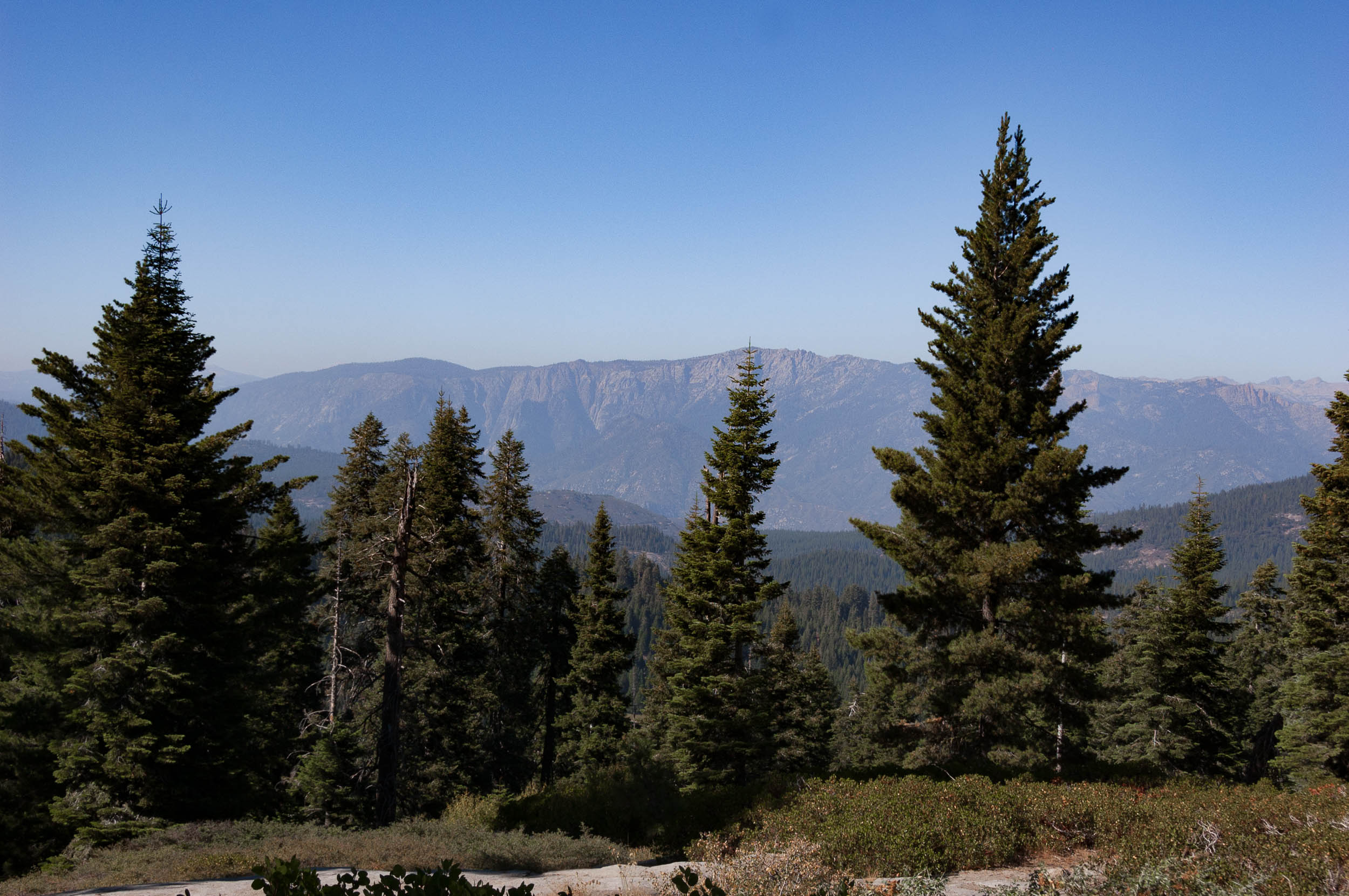 8-Sequoia_Kings_Canyon_Park_View-2.jpg
