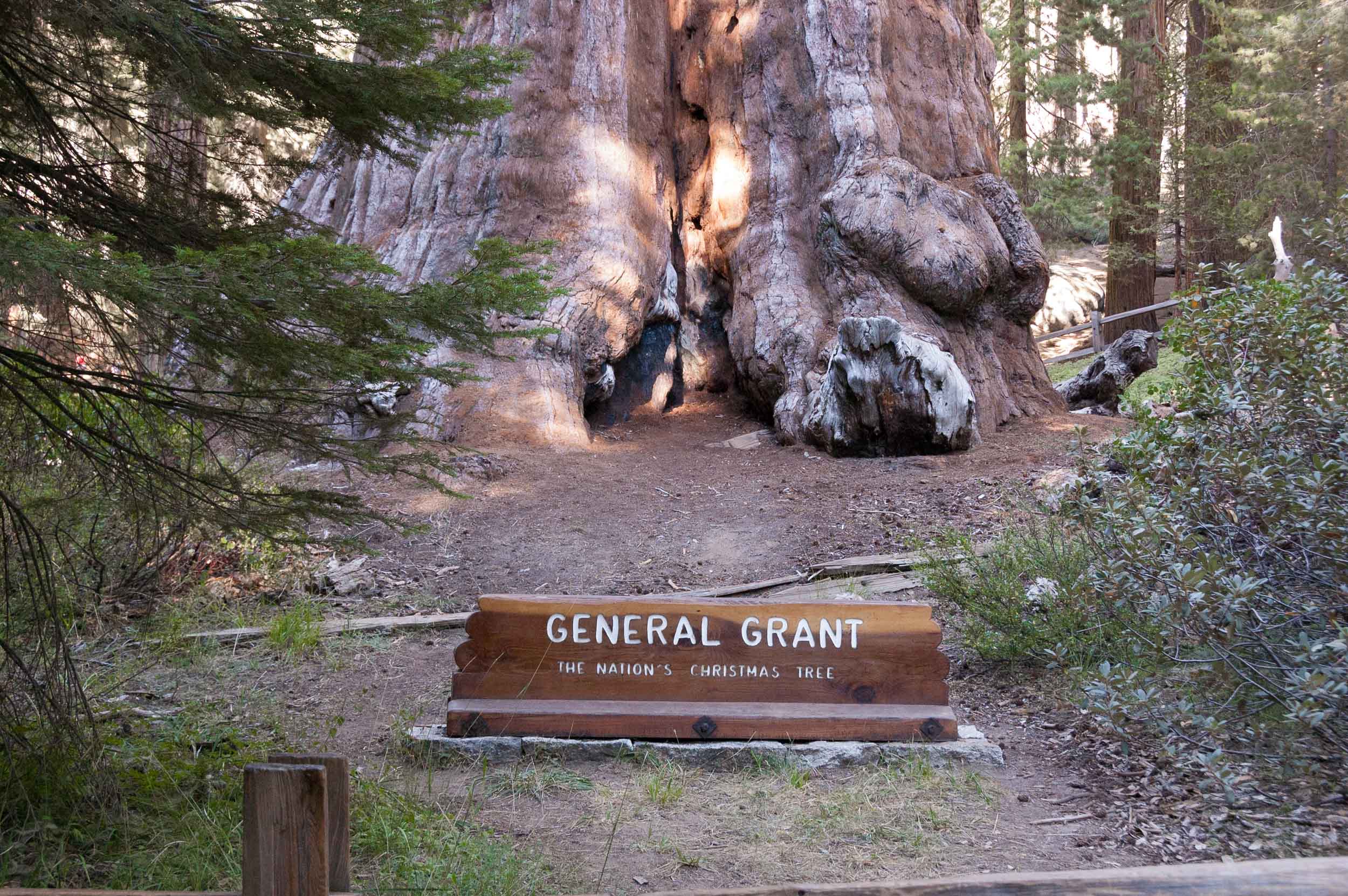 13-Sequoia_Kings_Canyon_Park_General_Sherman_Base.jpg