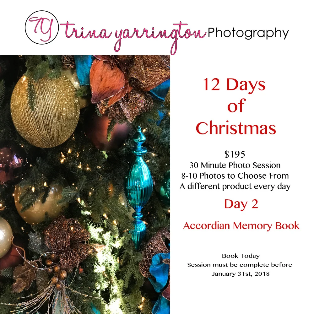 12 Days of Christmas_D2.jpg